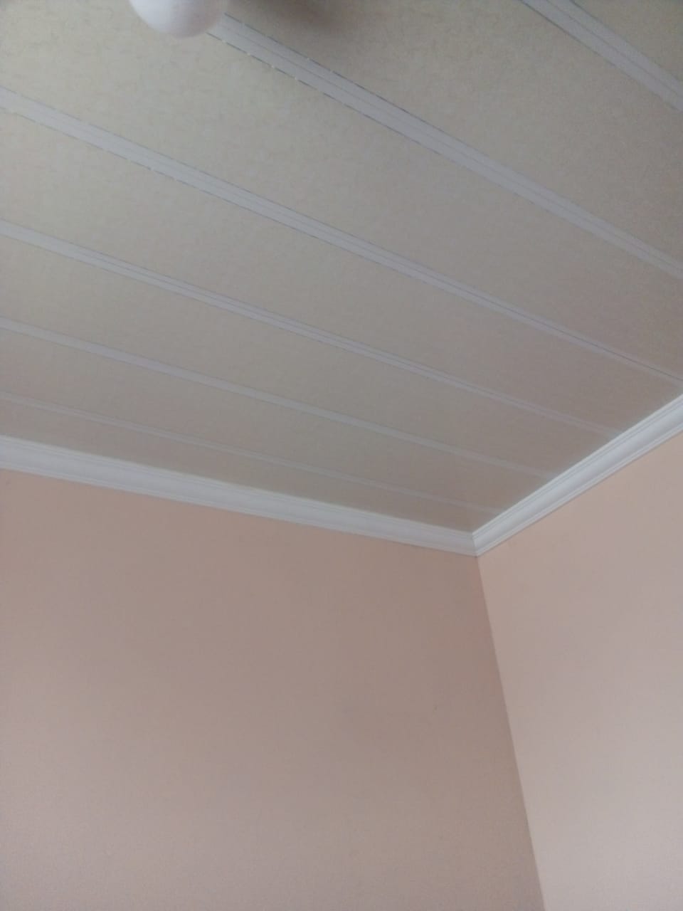Ceiling installation at Drieziek