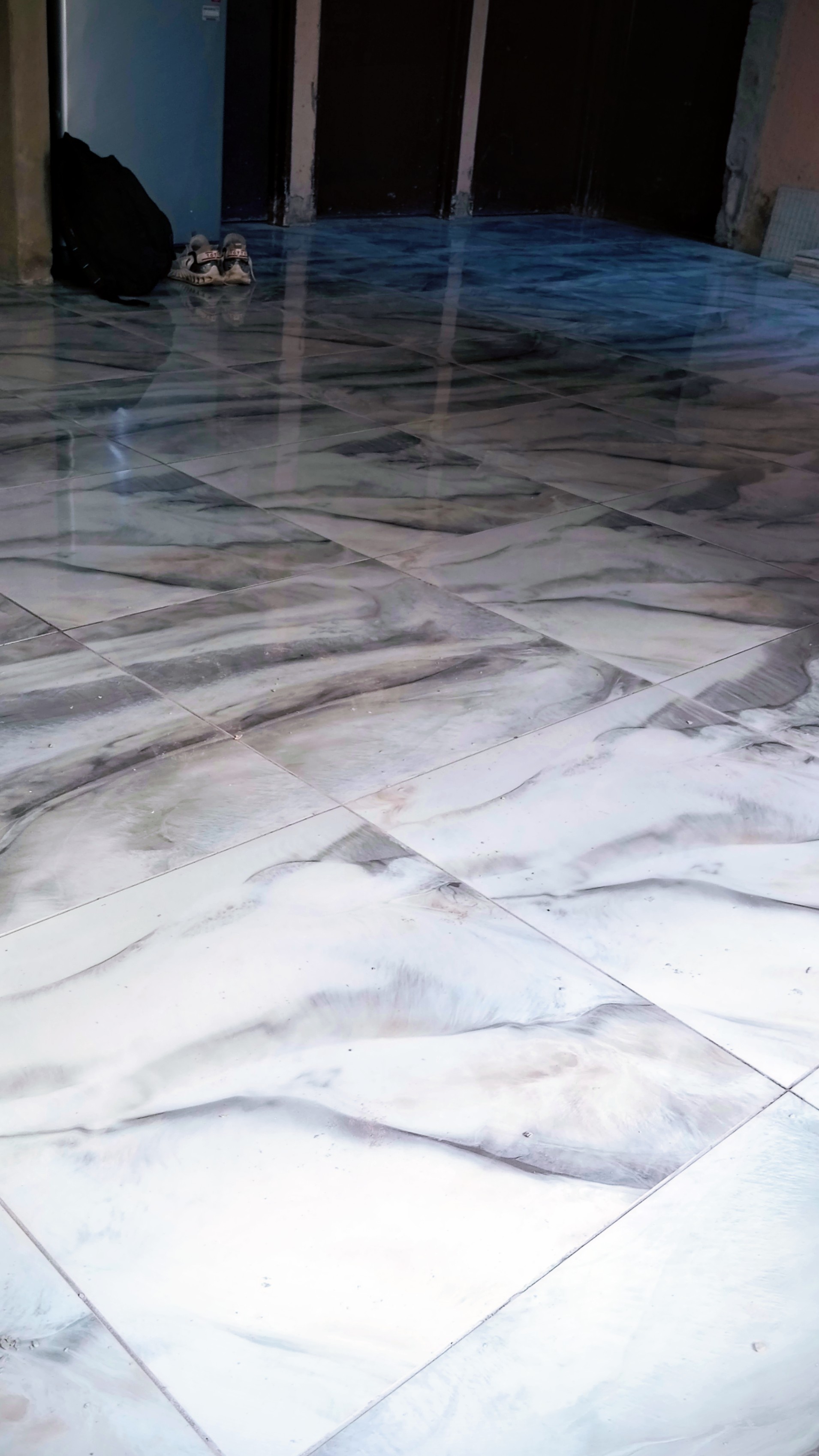 Tiling Project at Naturena